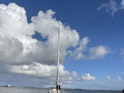 Polyester Zeilboot Dehler Optima 101 Foto 38