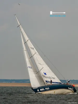 Composiet Zeilboot One Off 1756 Foto 7